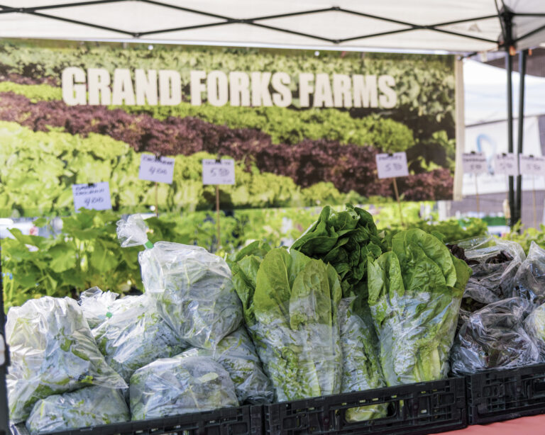 A farmers market stall displays fresh leafy greens in plastic bags, inviting visitors to experience local agritourism. A sign reads “Grand Forks Farms,” with rows of plants and prices visible behind the produce.