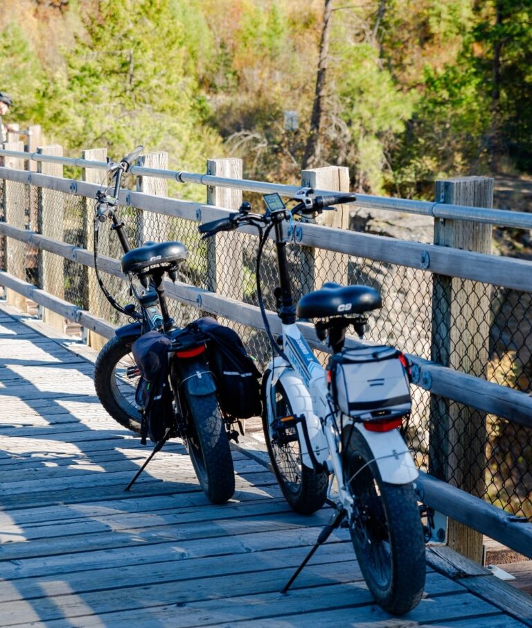 Two e-bikes, one black and one white, are parked side by side on a wooden bridge with a wire fence, surrounded by trees and nature in the background on a sunny day.