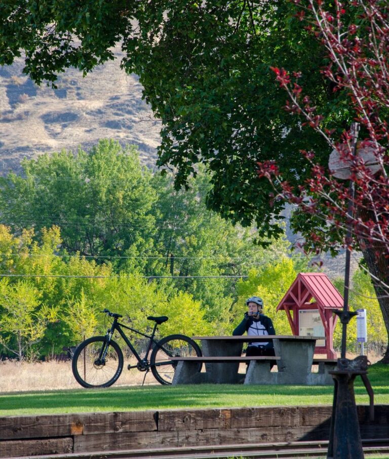 A person in cycling gear sits at a picnic table under a large tree, their bicycle leaning nearby. Surrounded by green trees and a red-roofed shelter, the scene captures the tranquil blend of outdoor adventure and local arts & culture amid hilly terrain.