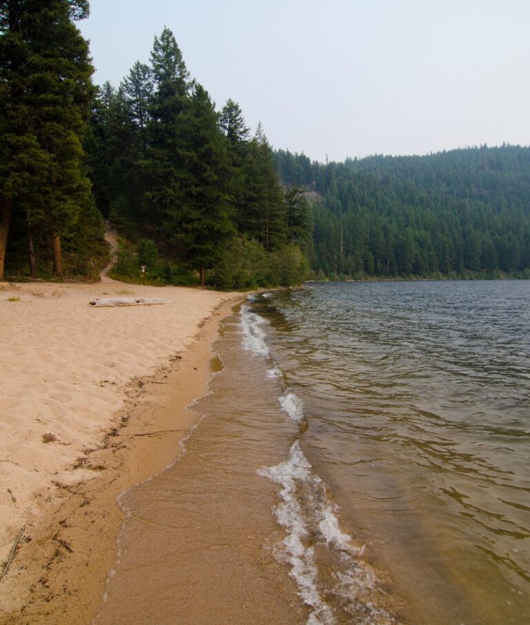 A sandy beach curves along the edge of a calm lake, one of the areas most tranquil beaches, bordered by dense green pine trees and hills in the background under a hazy sky. Gentle waves lap onto the shoreline.