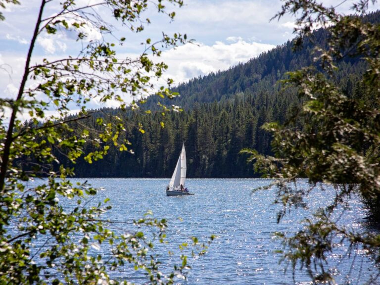 A white sailboat floats on a sparkling blue lake, ideal for watersports, surrounded by lush green trees and a forested mountain in the background. Branches and leaves frame the scenic view under a partly cloudy sky.
