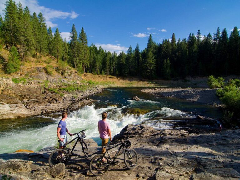 Two people with bicycles stand on rocky ground, enjoying a cycling adventure as they overlook a river with rapids, surrounded by dense pine trees under a clear blue sky.