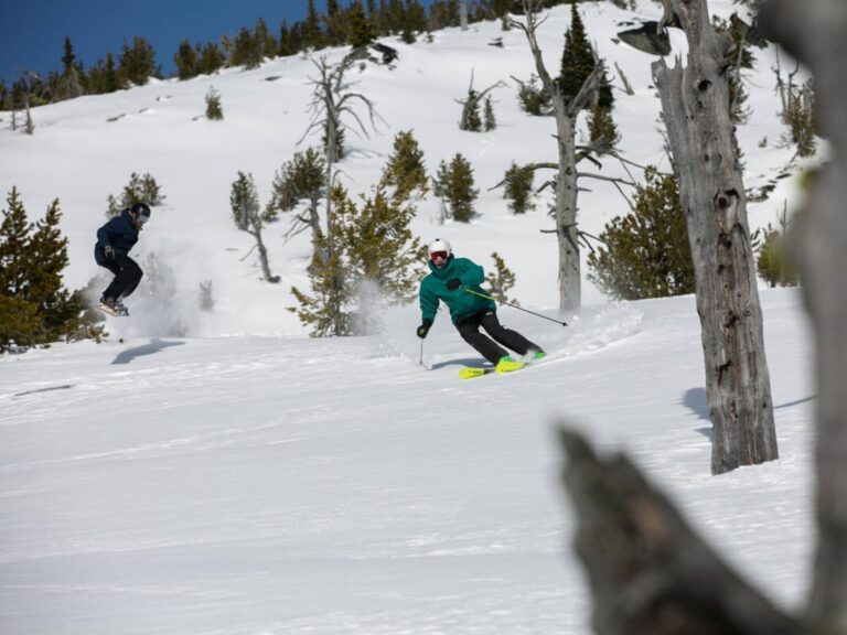 Two people are skiing down a snowy mountain slope surrounded by trees. One skier in green and yellow is in the foreground, while another skier is in the background on the left. Snow kicks up behind them as they move.