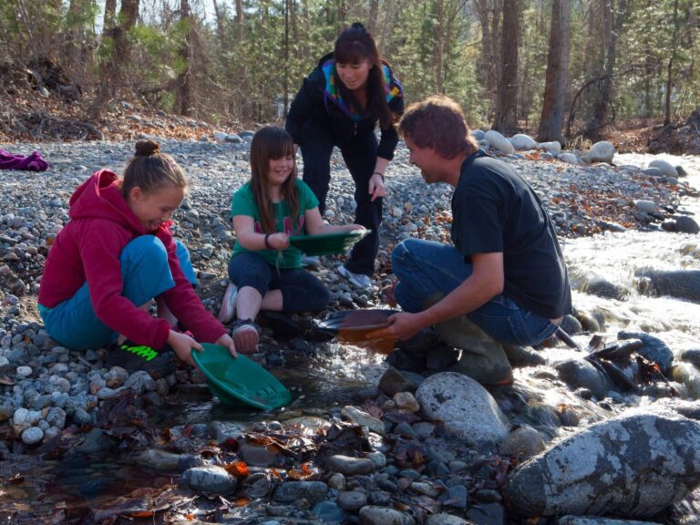 Four people, two adults and two children, are gold panning in a shallow, rocky creek surrounded by trees. They crouch by the water with green and brown pans, smiling and enjoying this hands-on gold panning adventure together.