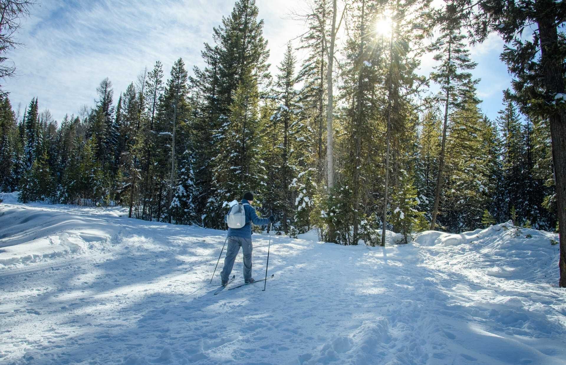 Nordic Ski