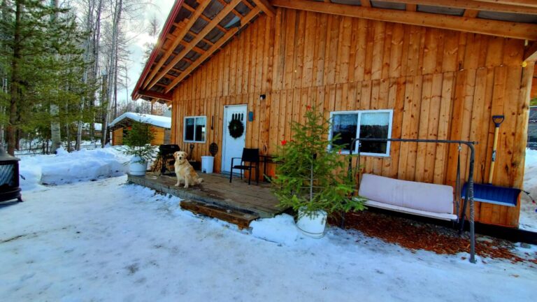 A wooden cabin with a porch sits surrounded by snow and pine trees, radiating wellness and tranquility. A golden retriever lounges near a holiday wreath on the door, while potted pines, chairs, and a swing bench invite cozy relaxation.