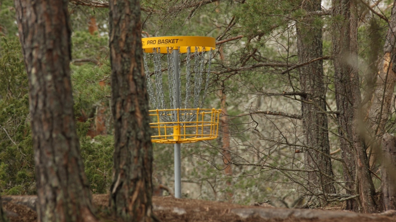 Disc Golf