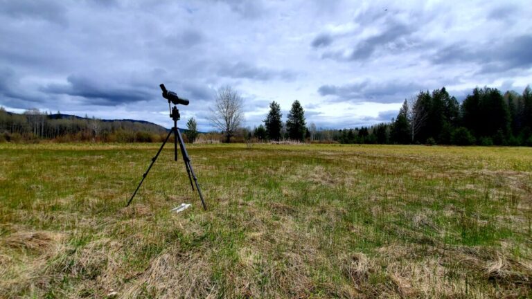 A tripod with a spotting scope stands in a grassy field under a cloudy sky, perfect for birding, surrounded by trees and distant hills.