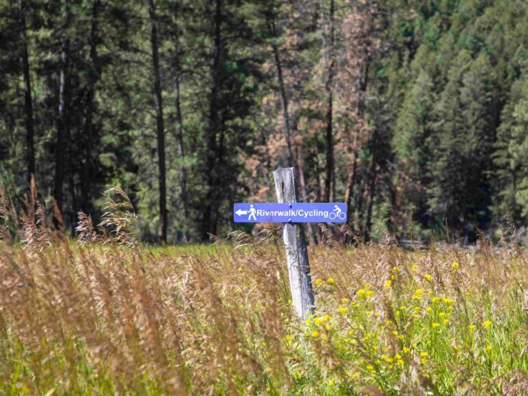 A blue signpost in a grassy field points left for the Riverwalk and right for cycling, with tall grass and trees in the background.