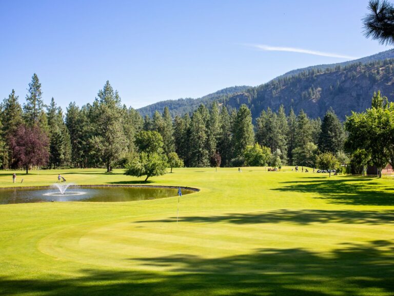 Green golf course with trees, fountain, and players at the tee