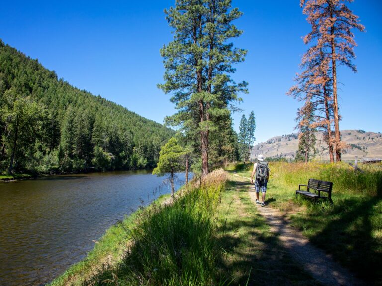 Person hiking a riverside trail lined with trees and distant hills