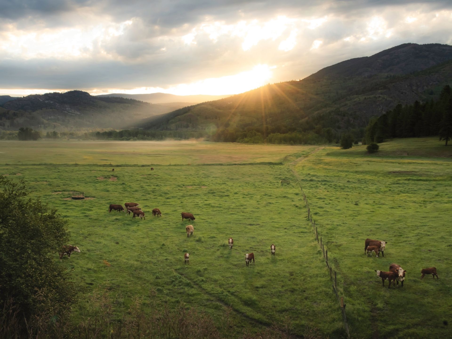 Ranch Experiences