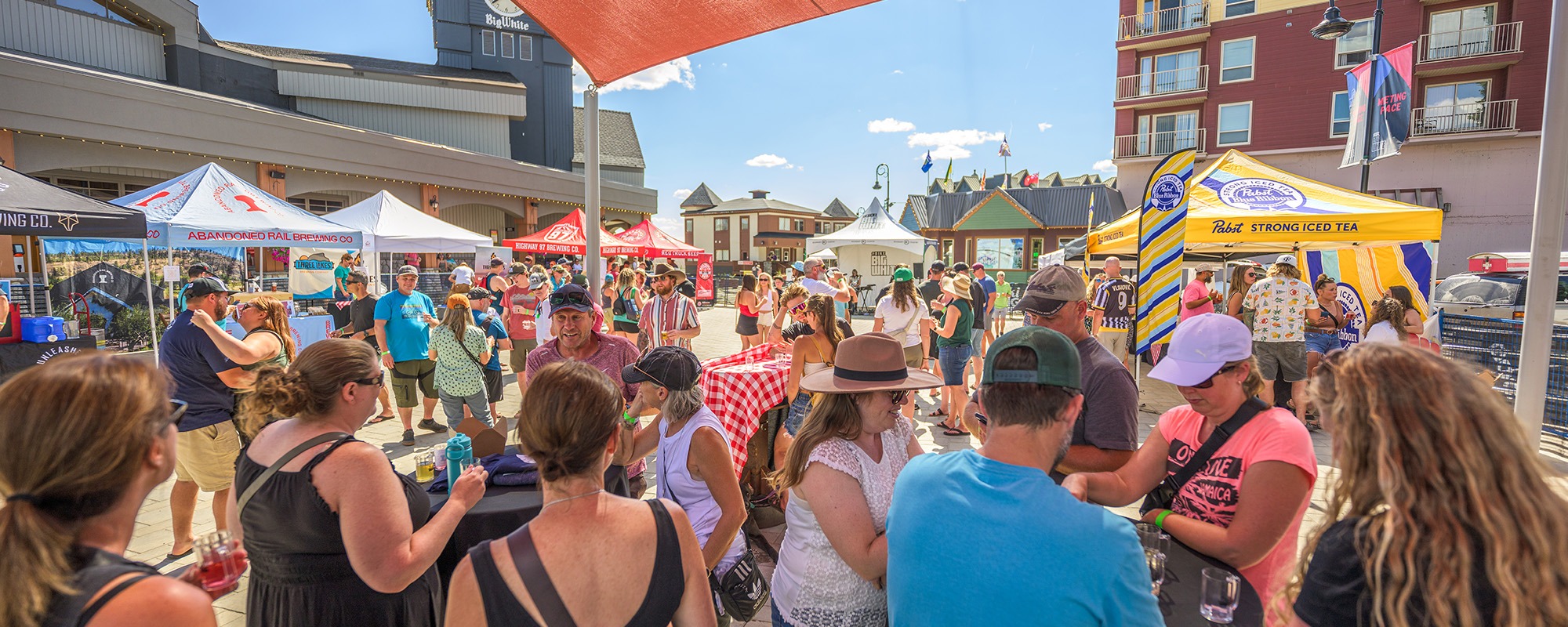 Craft and Country Beer Festival