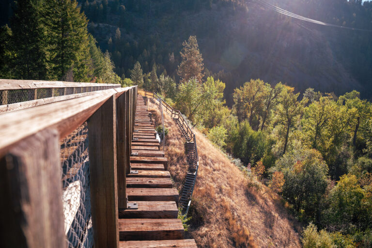 A wooden trestle bridge with gaps between the planks stretches along a Boundary Country hillside, surrounded by dense green trees and bathed in sunlight with mountains in the background.