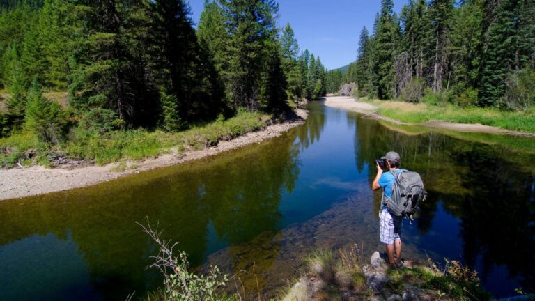 A person wearing a backpack stands at the edge of a river surrounded by dense forest, taking a photo of the scenic, calm water and tall green trees under a bright blue sky.
