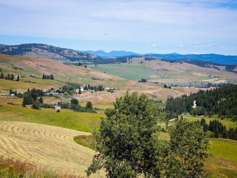 Rolling green hills and winding roads invite you to explore, making this scenic landscape the perfect inspiration for your next adventure or a guide on Where To Go for breathtaking views and peaceful escapes.