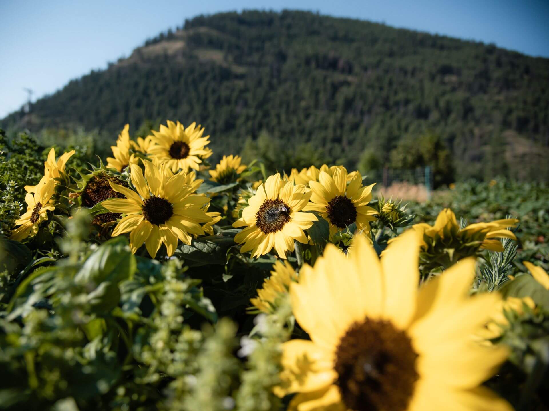 Meet the Artists of Riverside