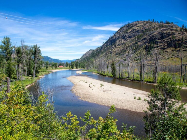 A calm river winds around a sandy bank with green trees and shrubs on both sides. In the background, a forested hill rises under a clear blue sky with wispy clouds—an ideal scene for those seeking inspiration on where to go next.