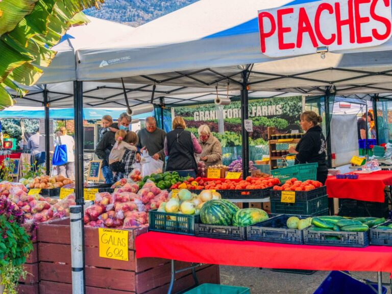 A busy farmers market stall displays colorful fruits and vegetables under a canopy. People browse, shop, and Stay and Eat, with signs reading PEACHES and GALAS 6.00. Produce includes apples, tomatoes, and watermelons.