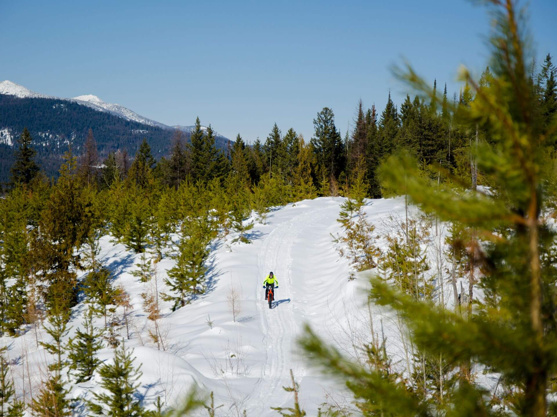 Fat Biking