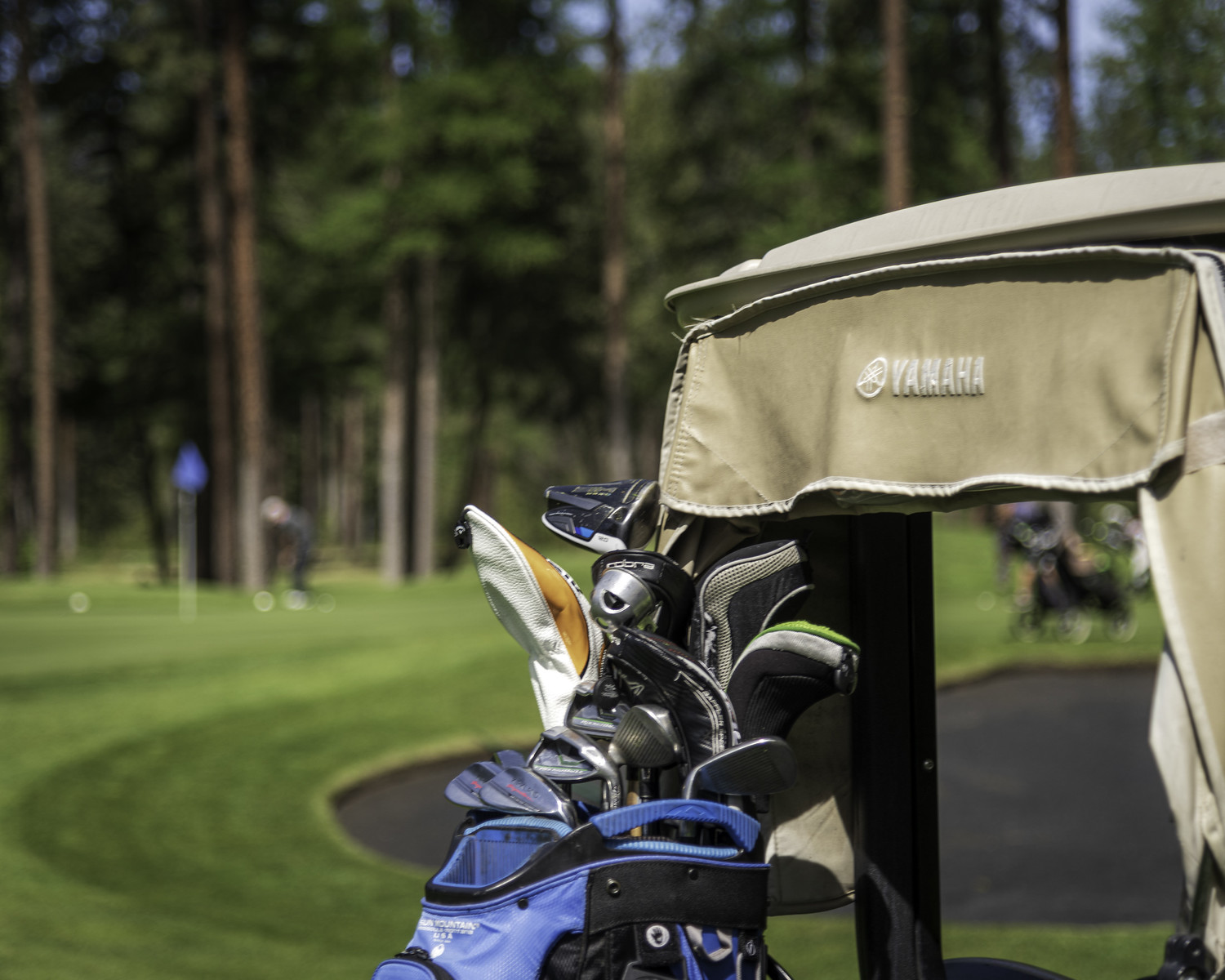 Men's Open Golf Tournament