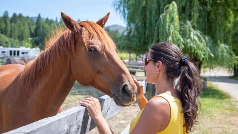 A woman wearing sunglasses and a yellow top gently pets a brown horse over a wooden fence on a sunny day, with trees and a rural landscape in the background.