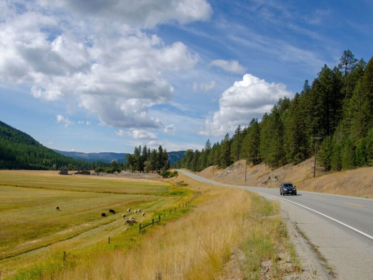 A car drives along a winding rural road bordered by grassy fields and forested hills, with sheep grazing in the field under a partly cloudy sky.