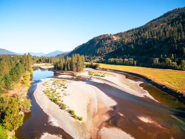 Aerial view of a winding river lined by trees and sandy shores