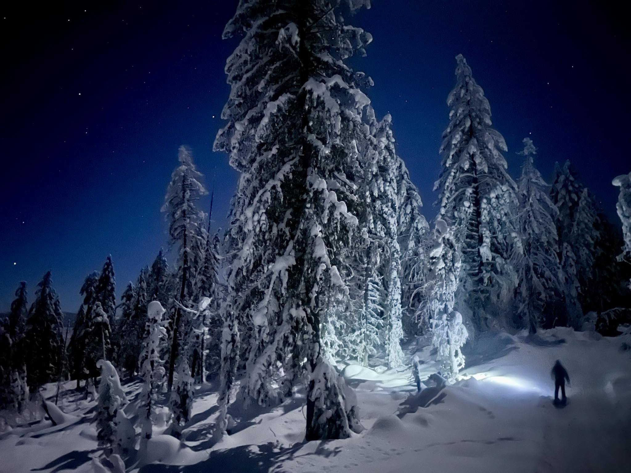 Full Moon Ski & Snowshoe