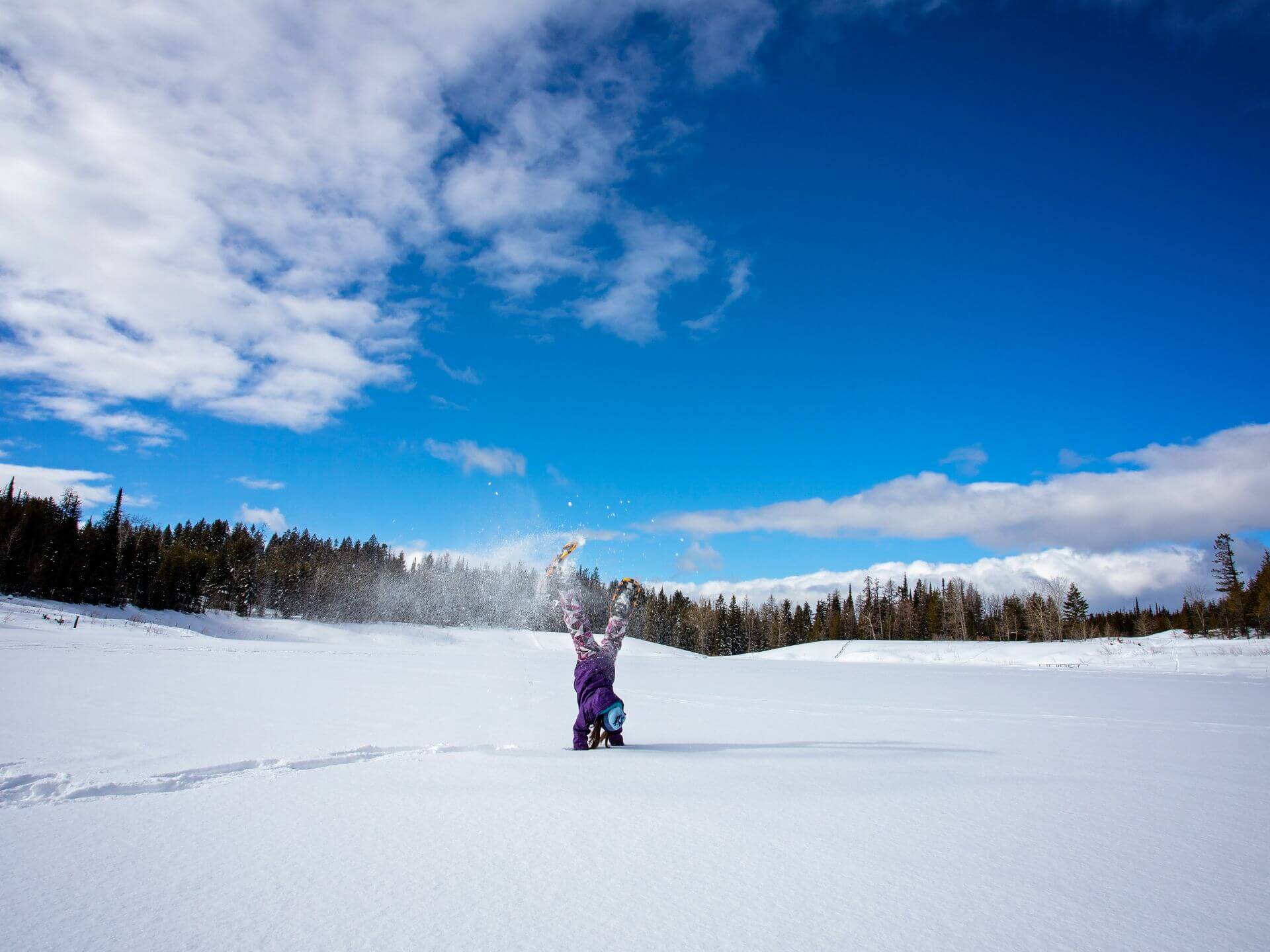 Snowshoe