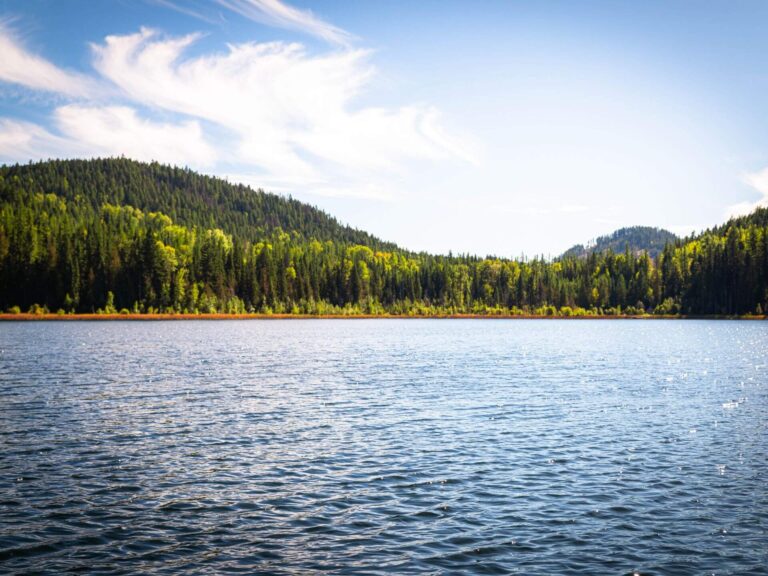A clear blue lake surrounded by dense green forest and tree-covered hills under a bright blue sky with wispy white clouds.
