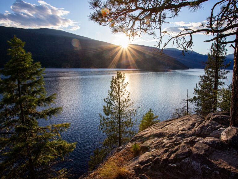Sunset casting golden light over Christina Lake viewed through pine trees