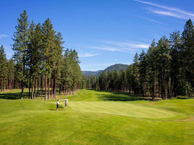 Two people stand on a pet friendly green golf course surrounded by tall pine trees, with blue sky and distant forested hills in the background.