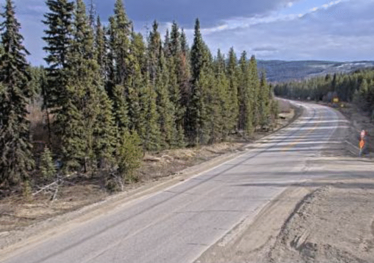 A paved road curves through a forest of tall evergreen trees under a mostly cloudy sky, with mountains visible in the distance and roadside construction signs on the right, captured clearly by nearby webcams.