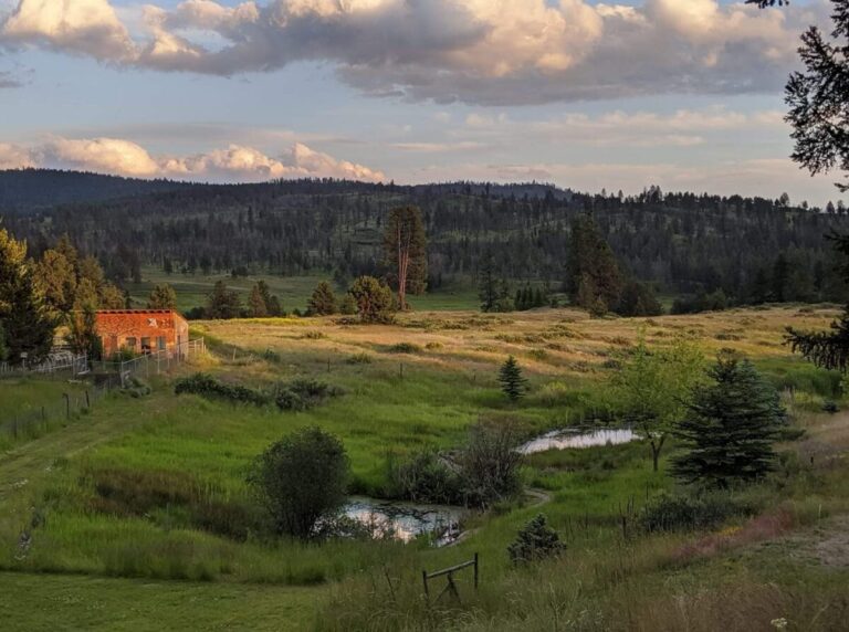 A peaceful rural landscape features a grassy meadow with small ponds, scattered trees, and a rustic red barn on the left. Forested hills and dramatic clouds fill the background under a golden evening light.