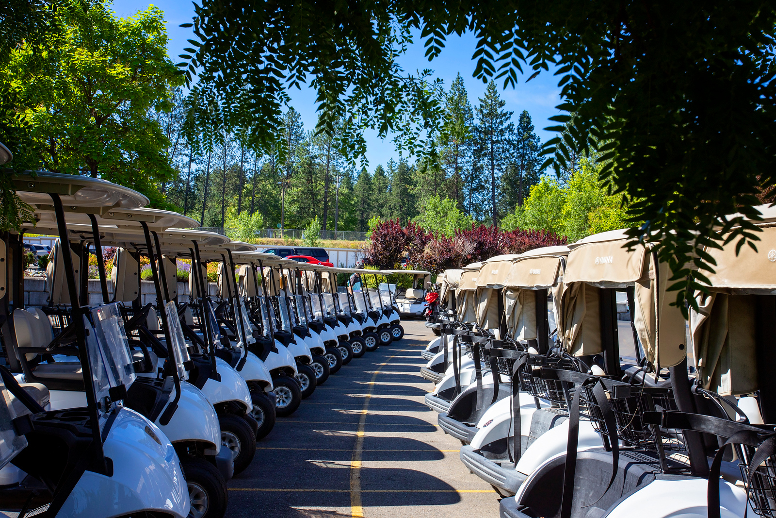 BC RCMP Golf Championship