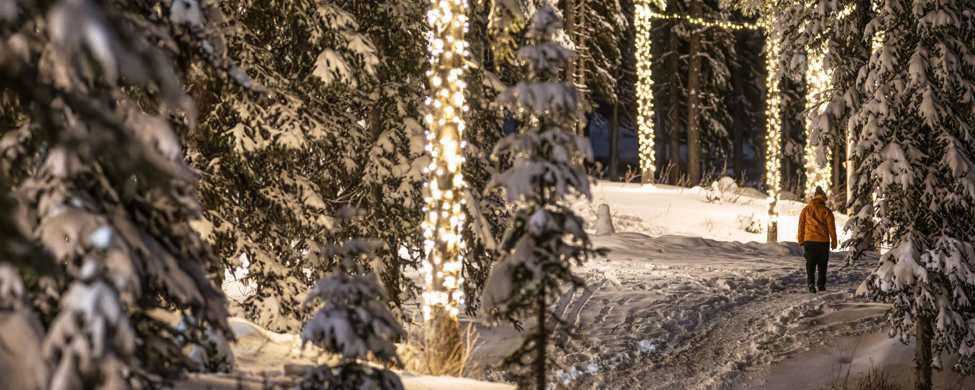 Twinkling Trail Light up event