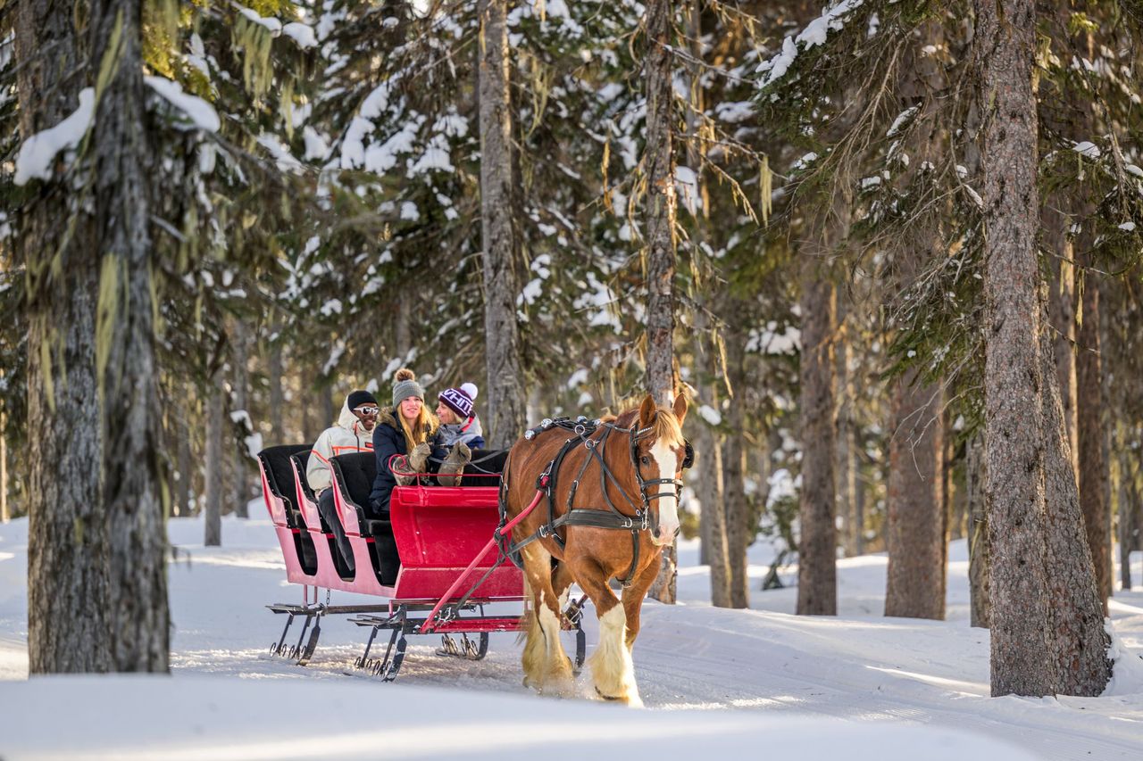 Sleigh Rides