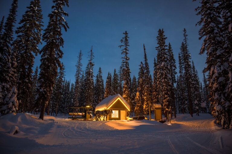 Blankets, Bells & Snowy Trails